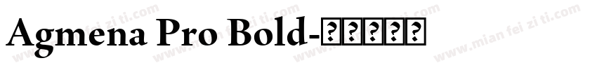 Agmena Pro Bold字体转换